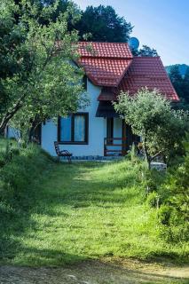 Casa Roman - 1