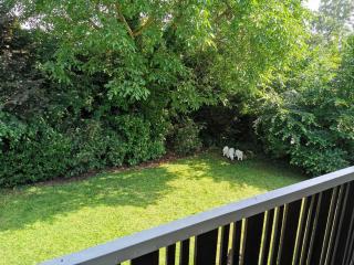 HR Townhouse Honigbach - 9