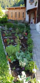 Familienbauernhof Winkelhof - 1