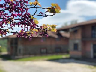 Hotel Pietrapanna - 8