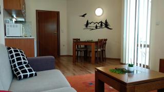 Pine Tree Apartment D34 - Bansko - 2