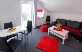 Appart-Hotel Harmonie - Winterberg - 3