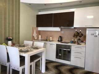 Apartman Sofia - Vrnjačka Banja - 9