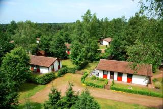 Ferienpark Grafschaft Bentheim - Uelsen - 9