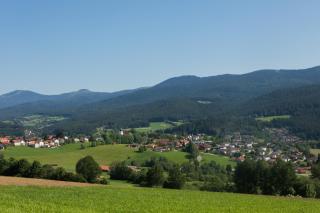 Sixt Martina - Lam - 9