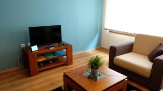 Pine Tree Apartment 3 - B3 - Bansko - 5