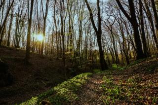 Rural Idyll - Vidéki Idill - Orfű - 1