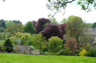 Poppy Glamping Pod - Cheltenham - 9