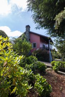 Chalet Pico das Pedras - 9
