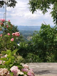 apartman Vojskovic - Gračišće - 2