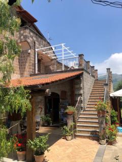 Agriturismo L'Olivara - Piano di Sorrento - 2