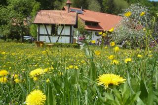 Biohof Schad - Eisenbach - 0