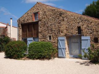 Chambres d'hôtes les Hautes Papinières - Saint-Prouant - 2