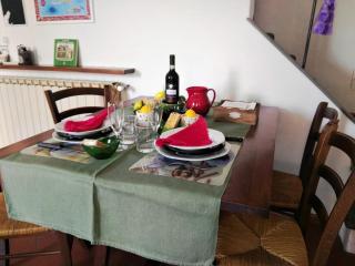 CANACCI UNDICI - Firenze - 3