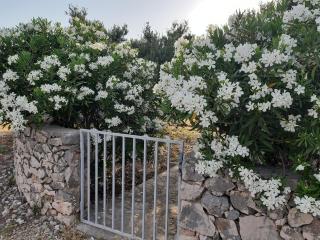 Lily Primosten - Primošten - 7