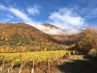 la gravinette - Cruet - 2