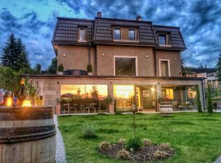 VILLA BRICOLA - Boutique Apartments - Karlovy Vary - 6