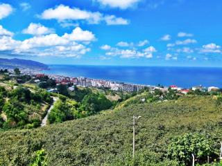 Paradise Villa Trabzon - Trabzon - 0