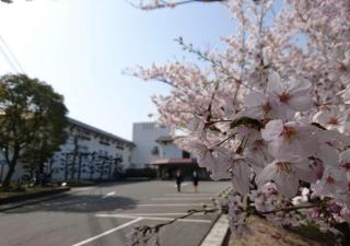 Kurashiki - Hotel / Vacation STAY 31267 - 7