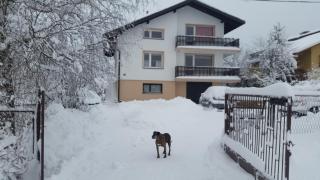 Agrowczasy - Wola Piotrowa - 8