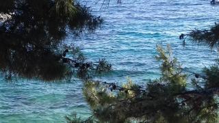 Apartments Lancek - 5