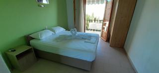 Pansion Platana - Glossa - 7