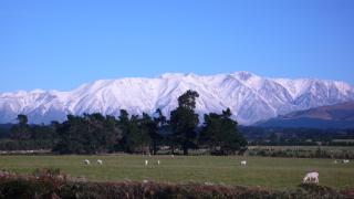 Gunyah Country Estate - Windwhistle - 9