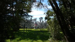 Gunyah Country Estate - Windwhistle - 6