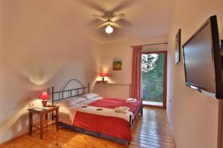 Rooms and Apartment Feral - Rovinj - 0