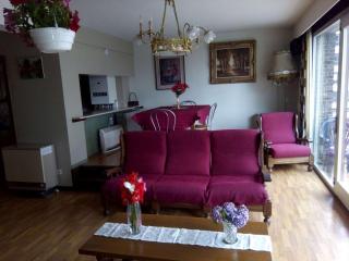 Ruim Appartement, frontaal Zeezicht, 2 slaapkamers, privé Parking mogelijk - 6