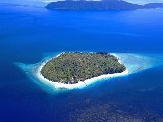 Agusta Eco Resort - Pulau Mansuar - 6