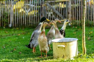 Anna's Siedlungshäusle - Herrenberg - 1