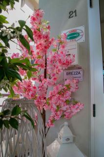 Hotel Brezza - Rimini - 3
