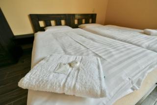 Wellness Hotel Fridrich - Horní Těrlicko - 4