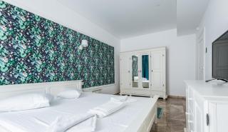 SnS Apartament in Vila Sophia - Mamaia - 4