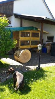 Ferienwohnung Rucksack-Bimbes - Altendiez - 6