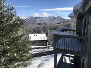 Skyleaf E_17 Condo - Sugar Mountain - 9