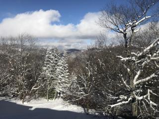 Skyleaf E_17 Condo - Sugar Mountain - 4