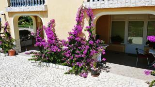 Apartments 3 Palms - Crikvenica - 1