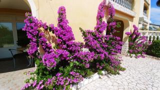 Apartments 3 Palms - Crikvenica - 2