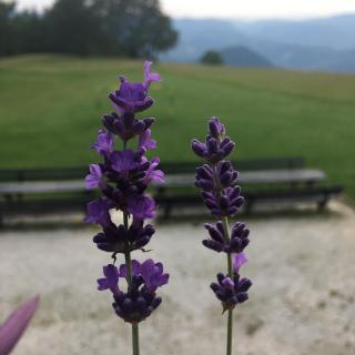 Planinski dom na Kalu - Dol pri Hrastniku - 1