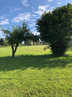 The Walnut Tree Gite - Le Dorat - 3