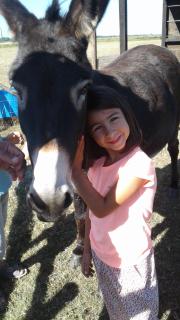 Gites De La Grande Borderie - 6