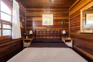 Camping Cabin - Private Solarium & Pool - BBQ - San Bartolomé - 3