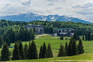 Timber view apartment Silver Mountain Poiana Brasov - Poiana Brasov - 5