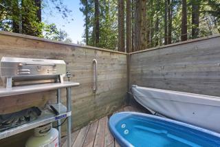 Cabin 55 - Sea Ranch - 8