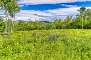 Eaglet Log Home - Franconia - 5