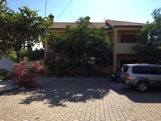 Apartment Dalmatini - 0