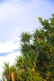 Thea Suites Potidea - 3