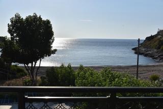 Irene's Beach Front house - Kalopigado - 0